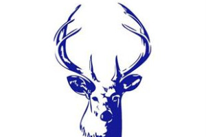 BacupCC junior & senior cricket fund
