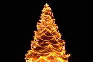 st-albans-christmas-tree-2.jpg - Light up St Albans