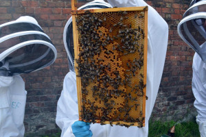 180517-st-hildas-ellie-finlay-bee-check-spring-2-c.jpg - Bee Workers to Key Workers 
