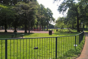 picnic-area.jpg - Ashburton Park Playground