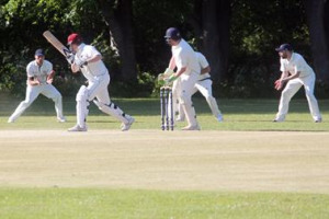 Cricket Net Refurbishment - Saltwood CC