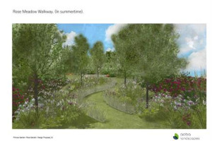 A Centenary Rose Garden for the future