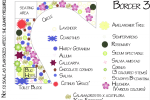 border-3.png - Create a Community Garden for Tickhill