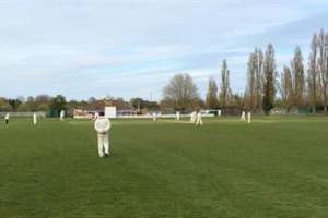 Support Chiswick Cricket Club