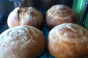 fb-img-1508394181429.jpg - Help raise dough for our bread oven 