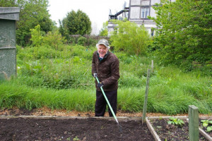 allotment-5.jpg - 12 months to the future