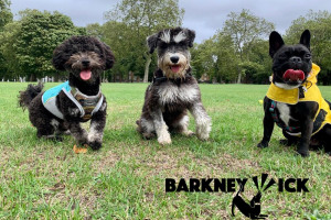barkneyweb.jpg - A dog day care centre for Hackney Wick
