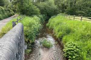river-2.jpg - Laugharne river water quality monitoring