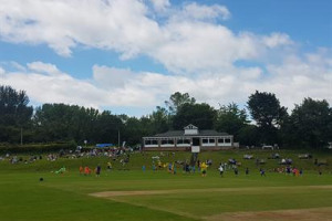 Durham City Cricket Save Our Nets