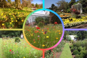image-19.jpg - Gateway to Swansea Botanical Gardens