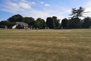 Support Whiteparish CC during COVID-19