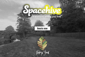 spae-hive-2.jpg - The BIG Build @ Ruby's Yard