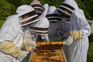 Bee Workers to Key Workers 