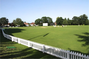 main-image.png - Help Wells CC with New Cricket Nets!