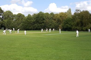 Help Elsworth CC bounce back!
