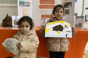 Hedgehog Discovery Afternoon at Sherwood Park Hall, CR4 1JP