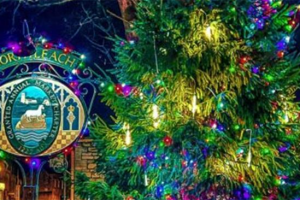 northleach-christmas-tree-2021-by-flam-wellman-648-x-240.jpg - Northleach Christmas Market