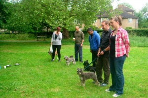DSC02766.jpg -  TYS Ealing community dog centre