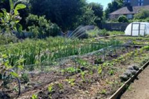 Phoenix Farm: Growing Community Roots