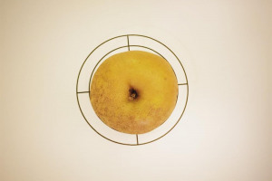 cvo-59-w-pwiaa-4-ft-j.jpg - Save London's Apple Heritage!