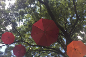 umbrella.jpg - Youth Art in Piccadilly Gardens