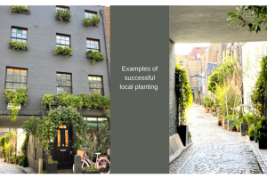4.png - Our Fitzrovia: Green up Cleveland Street