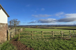 shared-image-25.jpg - Community Orchard at Blossom Barns