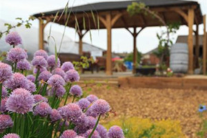 A Picnic Area for Meadow Well Residents