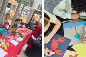 Town Centre Crowdfunder