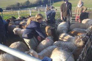 Junior Community Farmers at Perry Court