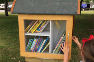Free Little Library Project, Worthing