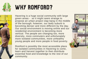 5.jpg - Rise High Urban Allotments in Romford!