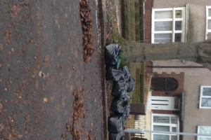 041.jpg - #wecaredarlo