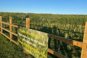6 Tree planting and hedge planting days at Seahill chester