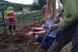 digging.jpg - Little hands on the land