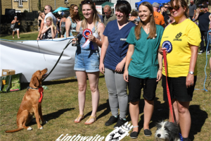 lb-dog-show.png - Linthwaite Leadboiler's Festival