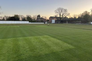 A new artificial wicket for Bretherton