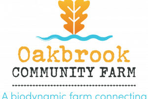 ocf-logo-colour-strapline.png - Little hands on the land