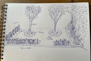 herb-garden-in-situ-original.jpg - Reimagining Fenham's Future