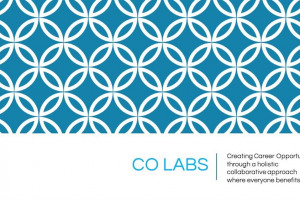 slide-1.jpg - CoLabs: Creating a Work Experience Hub 