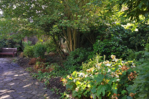 whats-app-image-2020-10-13-at-13-40-13-2.jpeg - The Streatham Rookery Sensory Garden