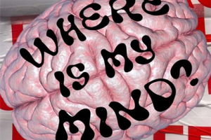 Where Is My Mind?