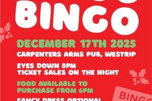 Singo Bingo Christmas Fundraiser at 