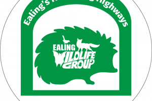 asset-2.png - Build Urban Hedgehog Highways in Ealing