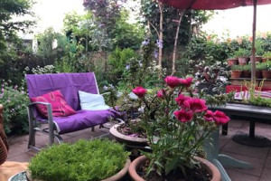Sustainable Urban Community Garden
