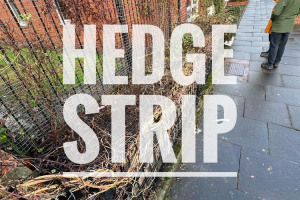 04-hedge-strip.jpg - Stanton Street Lounge Garden Improvement