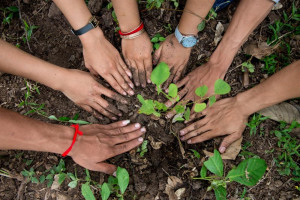 tree-planting-cambodia-2014-luc-forsyth-50-1024-x-683.jpg - Environment Friendly