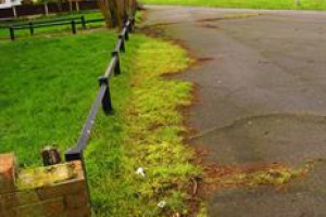 Friends of Stanney Green Gym