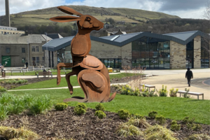 Bring Back the Hare to Rawtenstall
