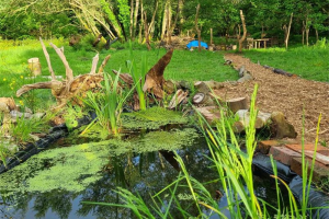 441163509-122127663212258225-658203567965008011-n.jpg - Community forest school in Pirbright